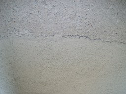 christchurch -2175.jpg